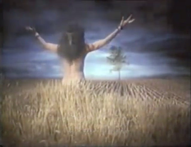 image from Prudential advert showing hippy and tree